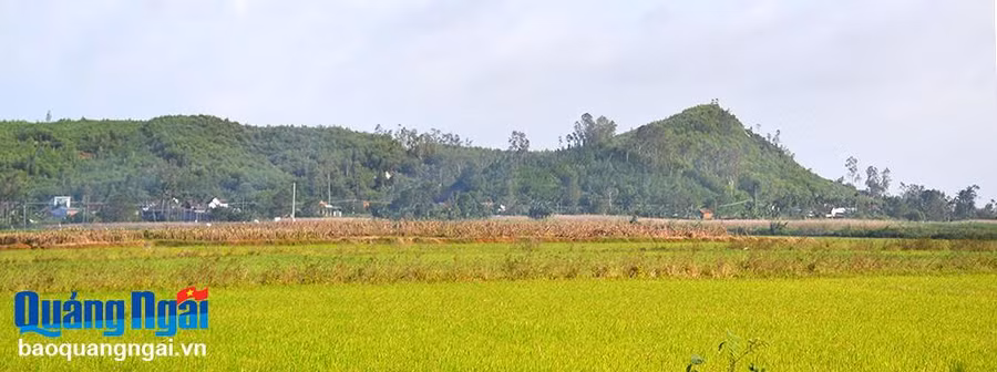 Núi Long Phụng, ở xã Đức Thắng (Mộ Đức) nằm giữa đồng ruộng mênh mông.