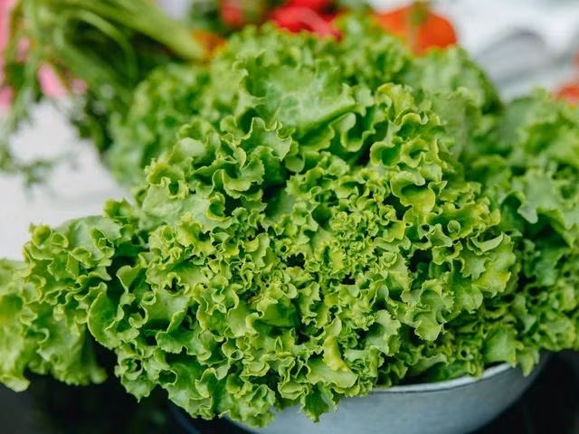 Các loại rau lá xanh rất giàu vitamin E tốt cho não. Ảnh: PEXELS Các loại rau lá xanh rất giàu vitamin E tốt cho não. Ảnh: PEXELS