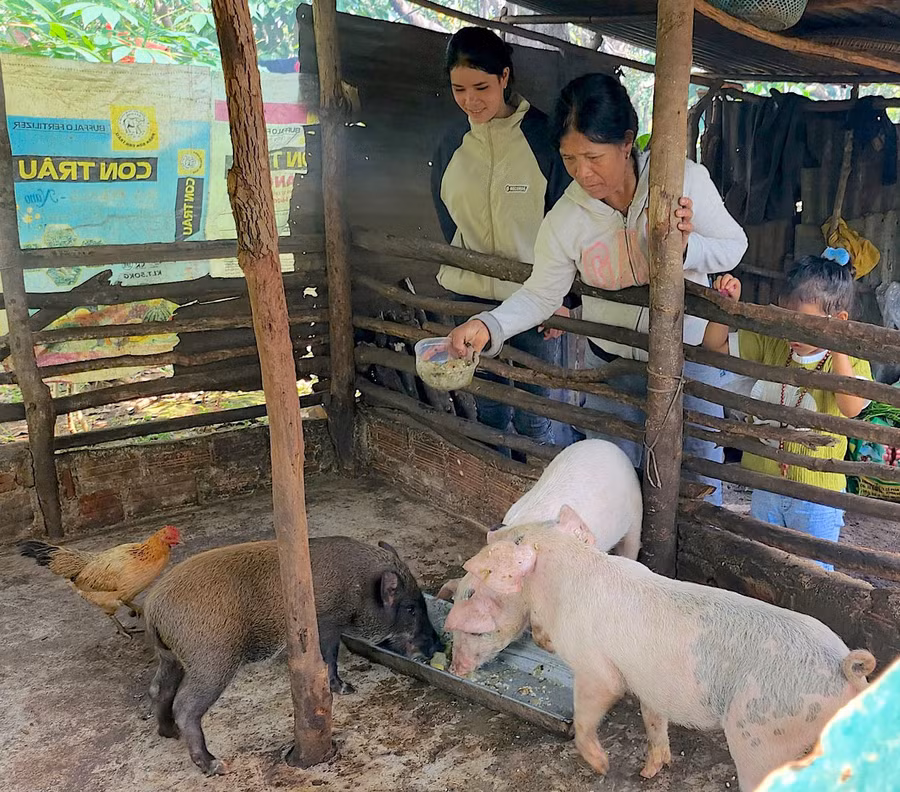 Một bộ phận hộ nghèo người DTTS còn thiếu kiến thức tổ chức sản xuất và chưa biết cách tích lũy vốn để phát triển kinh tế hiệu quả. Ảnh: Mộc Trà