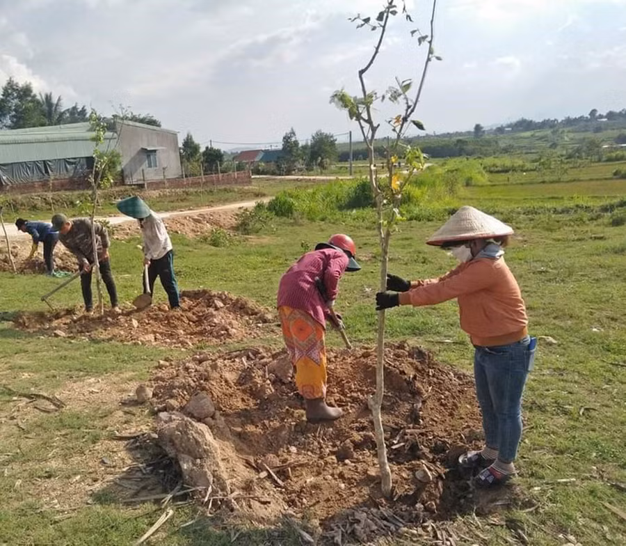 Người dân làng Nhoi trồng cây xanh quanh khu vực nhà rông. Ảnh: Huy Phan