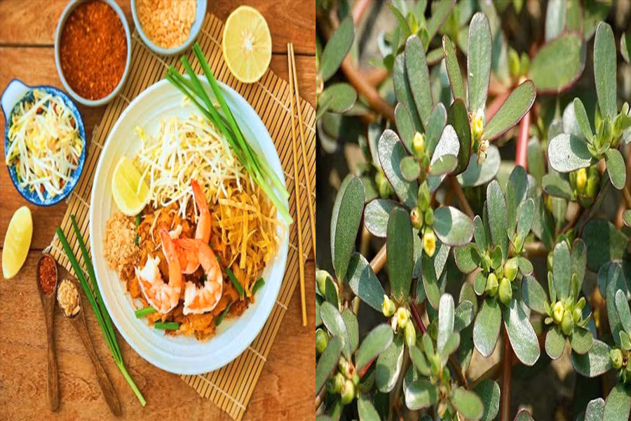 Giá đỗ và rau sam được xem là thực phẩm hàng đầu để kéo dài tuổi thọ. Đồ hoạ: Hạ Mây