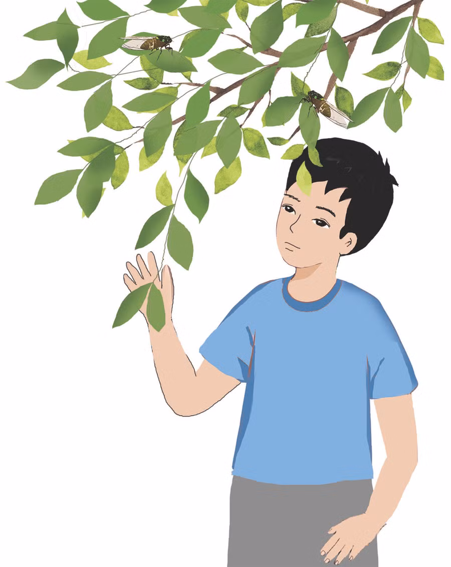 Minh họa: H.T Minh họa: H.T