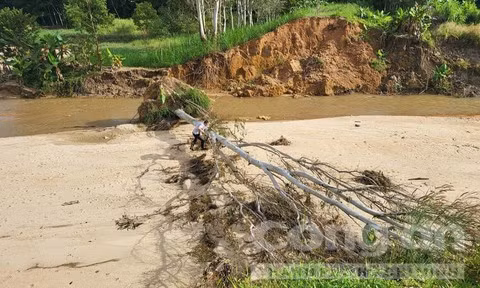 Đập thủy lợi Đăk Ngao 1 bị vỡ.