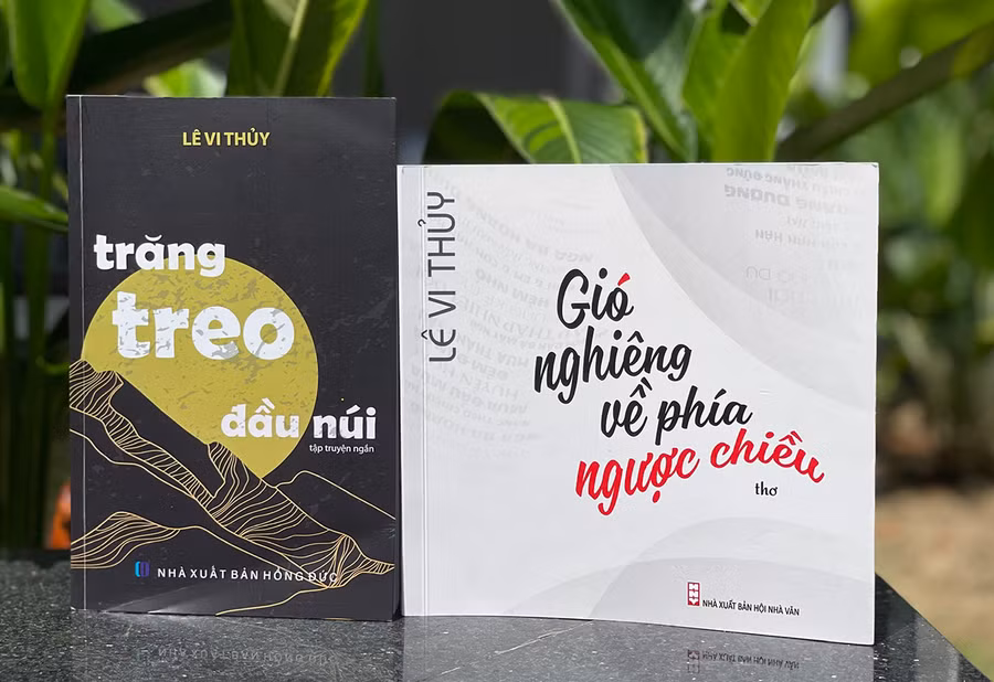 2 tập sách vừa ra mắt của tác giả Lê Vi Thủy. Ảnh: P.D