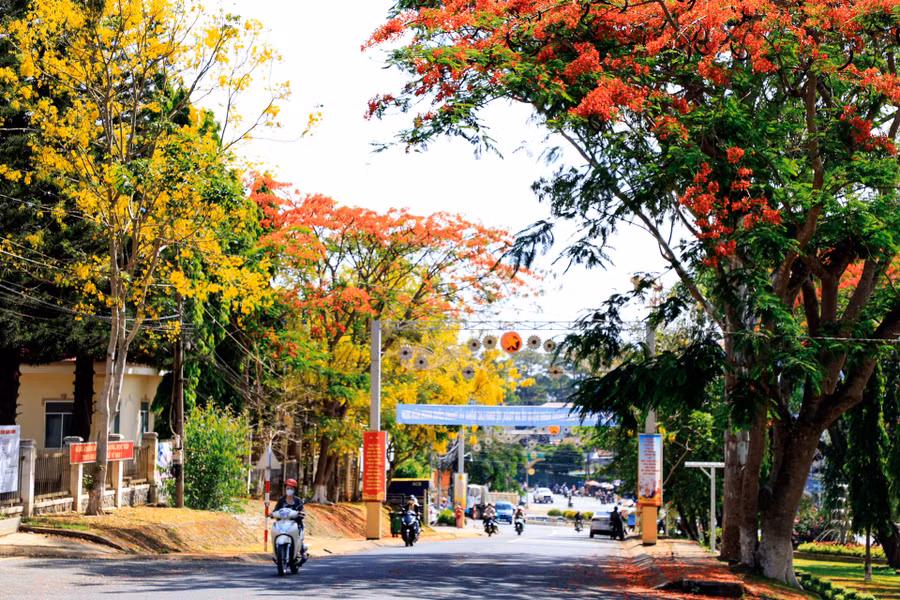 Muồng hoàng yến (Cassia fistula L.) là thực vật có hoa thuộc họ đậu (Fabaceae) có nguồn gốc từ Nam Á, với nhiều tên gọi khác như Osaka, muồng hoàng hậu, hoa lồng đèn, bò cạp vàng, mai dây, cây xuân muộn,... là loài cây trung tính, ưa sáng, mọc nhanh, chịu hạn, cây con ưa bóng nhẹ.