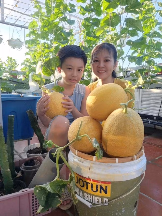 Khu vườn giúp gia đình chị Luy gắn kết hơn và 2 con nhỏ có không gian để vui chơi, trải nghiệm.Ảnh NVCC