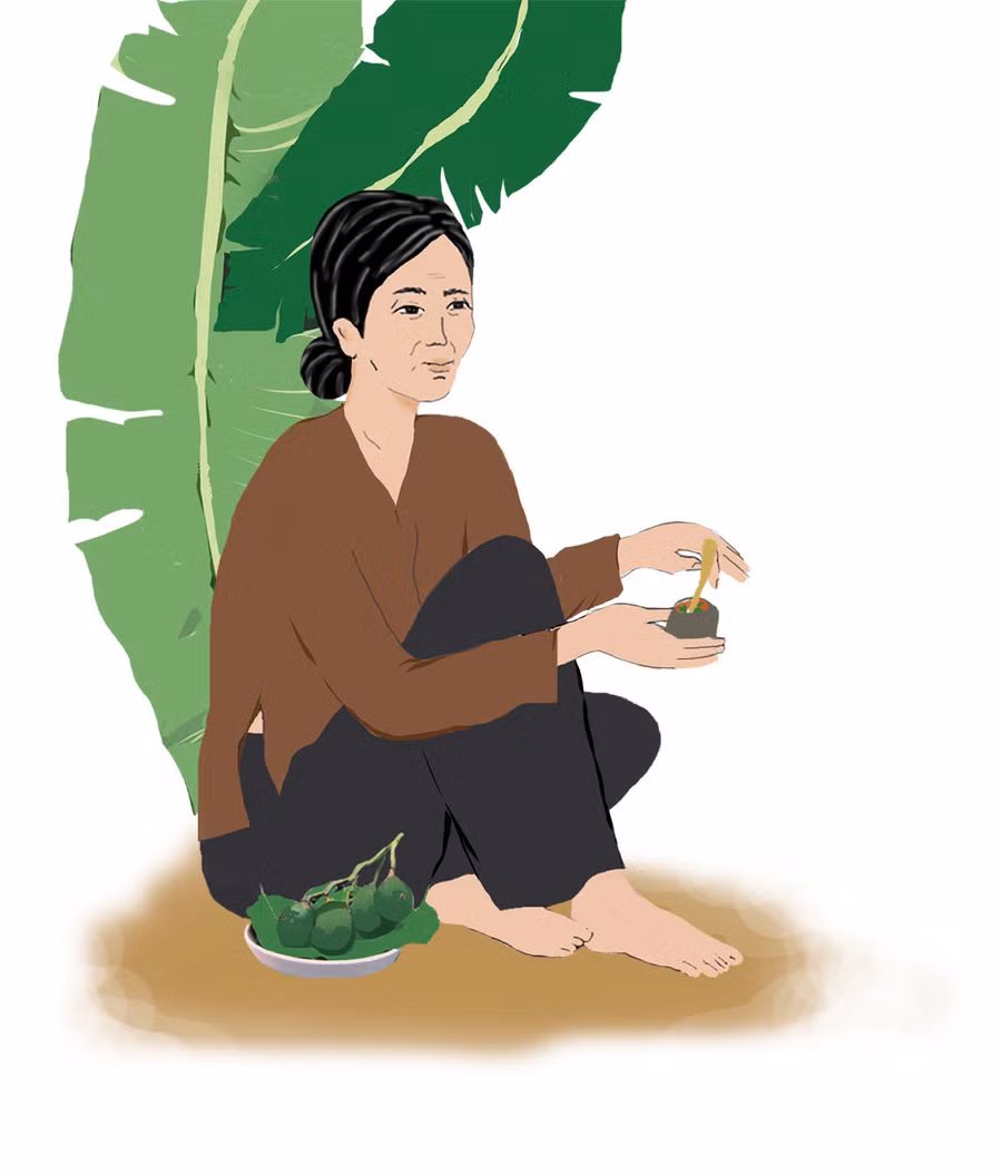 Minh họa: H.T