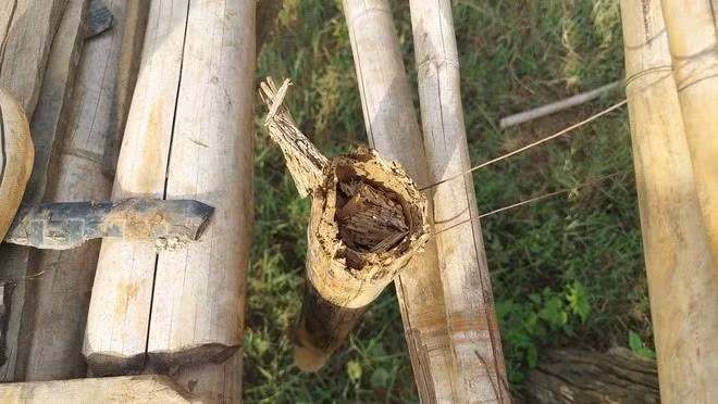 Cây cầu tạm làm bằng tre, gỗ chỉ có thể phục vụ đi lại trong mùa khô. Ảnh: ĐỨC NHẬT Cây cầu tạm làm bằng tre, gỗ chỉ có thể phục vụ đi lại trong mùa khô. Ảnh: ĐỨC NHẬT
