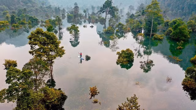 Vùng đệm VQG Phong Nha - Kẻ Bàng ở xã Thượng Trạch, huyện Bố Trạch - Ảnh Oxalis