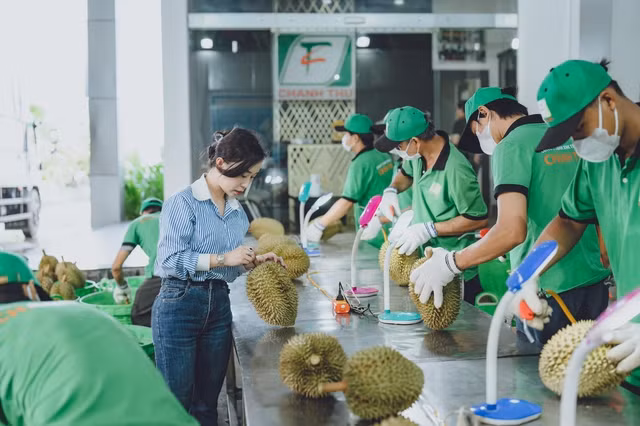 Nữ doanh nhân Ngô Tường Vy tại khu vực sơ chế sầu riêng xuất khẩu