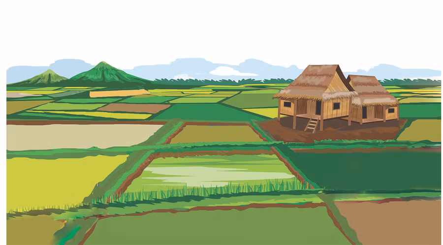 Minh họa: H.T Minh họa: H.T