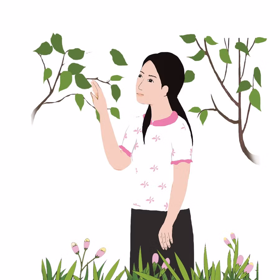 Minh họa: H.T