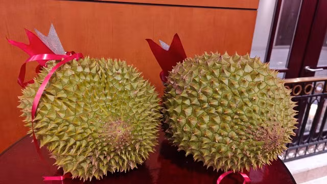 Sầu riêng tuyển chọn theo chuẩn xuất khẩu