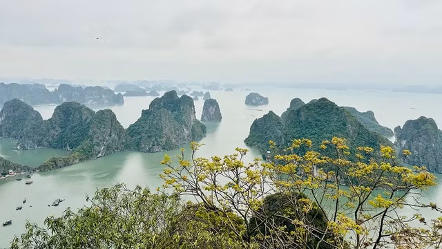 Vịnh Hạ Long - quần đảo Cát Bà trở thành di sản liên vùng đầu tiên tại Việt Nam được UNESCO ghi danh