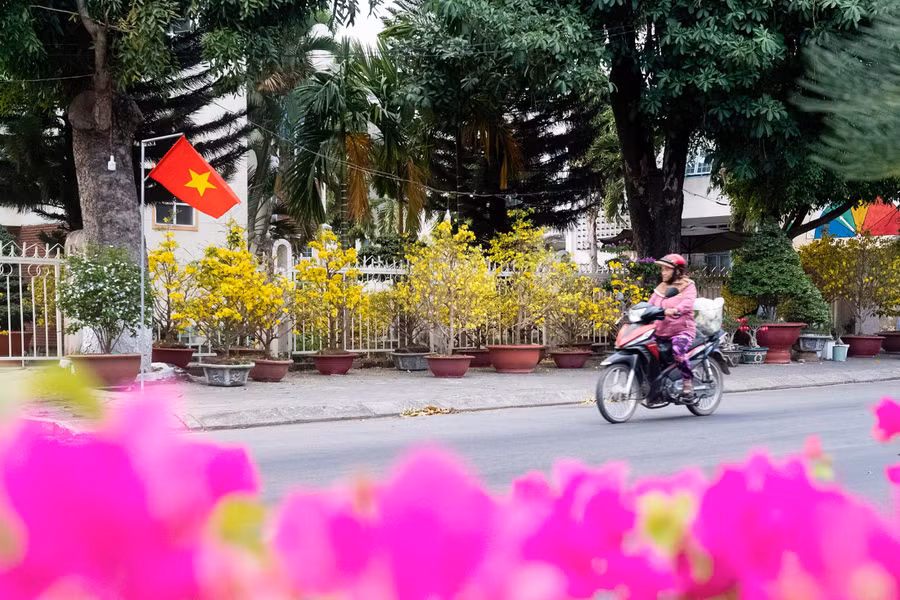 Hoa giấy, hoa mai nở rộ bên vỉa hè đường Phan Đình Phùng. Hoa giấy, hoa mai nở rộ bên vỉa hè đường Phan Đình Phùng.