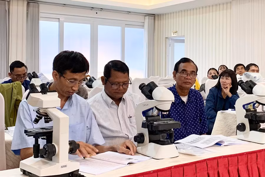 Nhằm nâng cao chất lượng nguồn nhân lực, ngành Y tế thường xuyên tổ chức tập huấn cho cán bộ y tế cơ sở. Ảnh: N.N