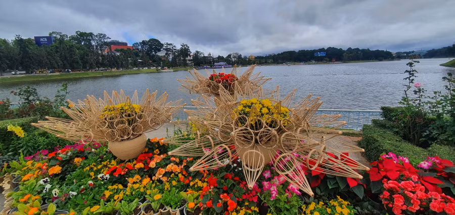 Không gian hoa ở Công viên Bà Huyện Thanh Quan trong nắng chiều cuối năm
