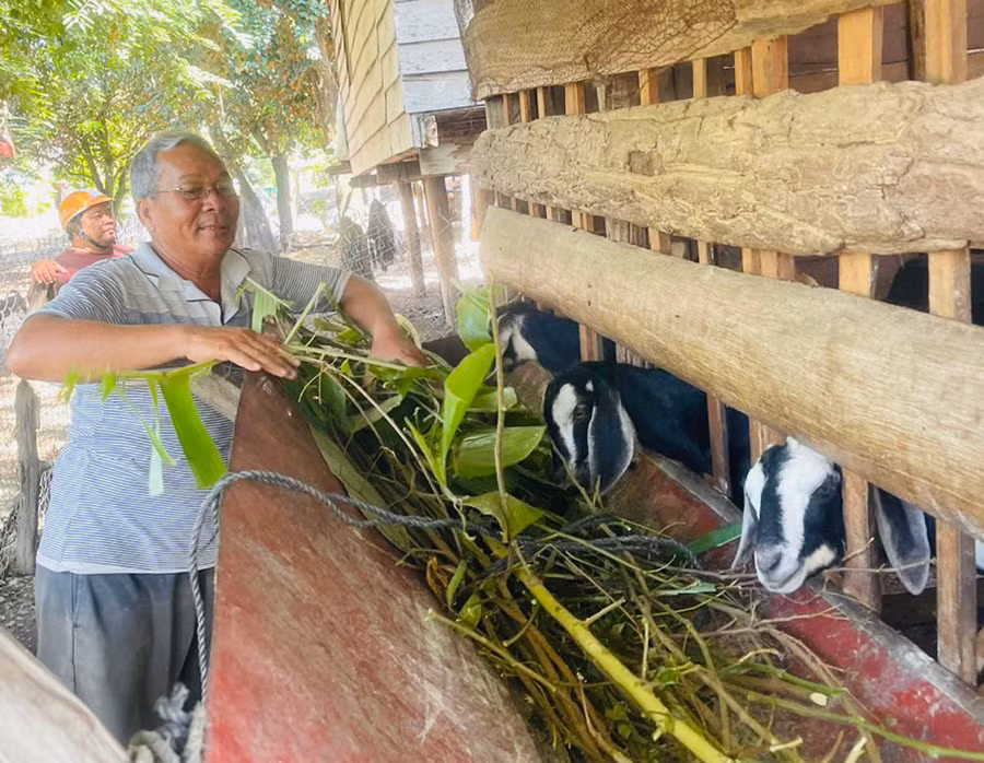 Mô hình chăn nuôi dê của người dân xã Ia Rbol mang lại hiệu quả kinh tế cao. Ảnh: V.C Mô hình chăn nuôi dê của người dân xã Ia Rbol mang lại hiệu quả kinh tế cao. Ảnh: V.C