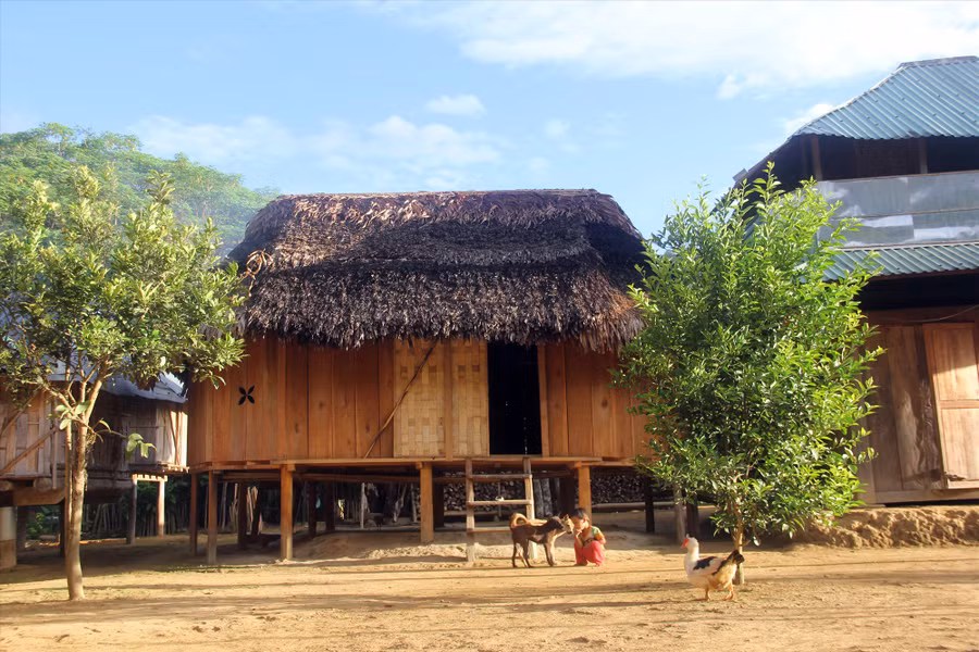Nhịp sống thanh bình ở Aur, ngôi làng biệt lập giữa rừng già. Ảnh: C.N