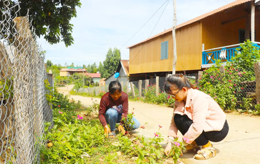 Phụ nữ làng Kươk (xã Sró, huyện Kông Chro) chăm sóc con đường hoa. Ảnh: Ngọc Minh