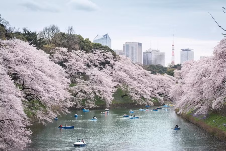 Tokyo với khí hậu mát mẻ được nhiều du khách Việt Nam ưu tiên tìm kiếm