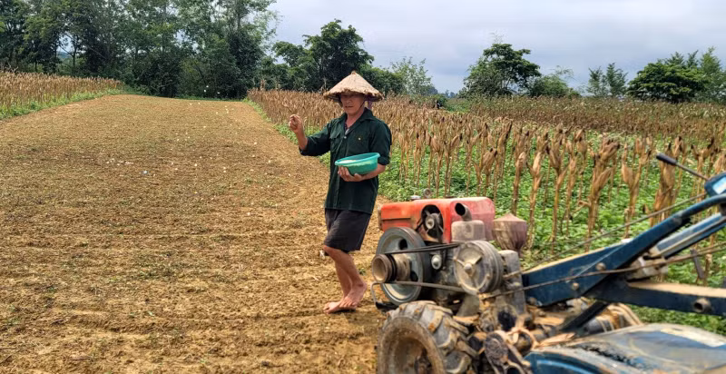 Cầu Cây Soi, nơi đã có 5 người tử vong vì bị sét đánh.