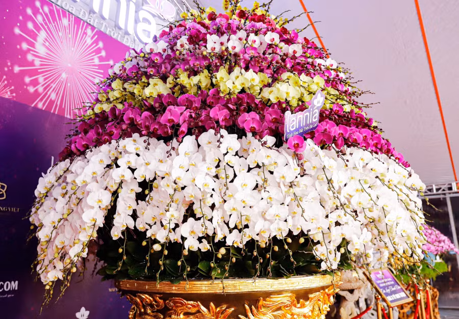 Phần hoa có 9 tầng, mỗi tầng một màu sắc. Ảnh: ĐÌNH HUY Phần hoa có 9 tầng, mỗi tầng một màu sắc. Ảnh: ĐÌNH HUY