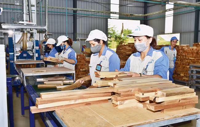 Tạo điều kiện NHNN và hệ thống các tổ chức tín dụng nhằm tháo gỡ khó khăn về tăng trưởng tín dụng cho sản xuất, kinh doanh, thúc đẩy tăng trưởng và ổn định kinh tế vĩ mô (ảnh tư liệu).
