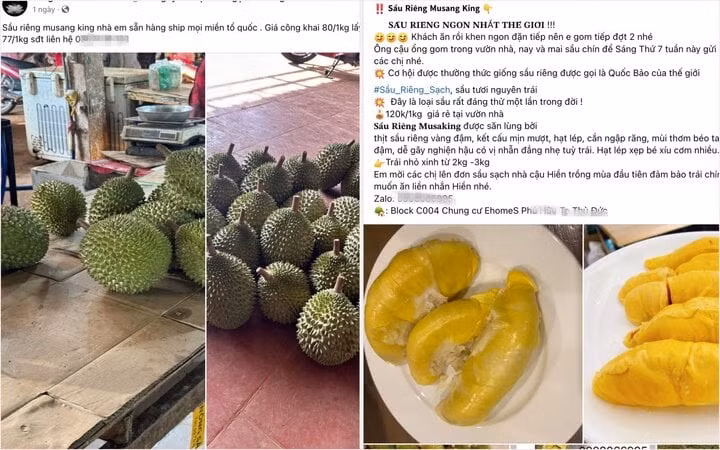 Sầu riêng Musang King được rao bán với giá 80.000 đồng/kg trên chợ mạng. (Ảnh chụp màn hình).