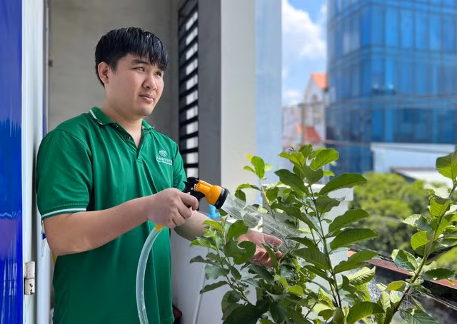 Cây ổi anh Hải trồng đang ra những trái đầu tiên. Ảnh: Phan Diệp