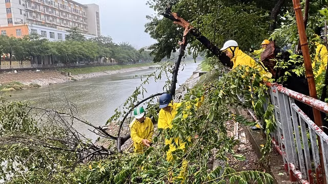 Công nhân môi trường, cây xanh xử lý sự cố đổ cây và những nơi dễ bị ngập úng.