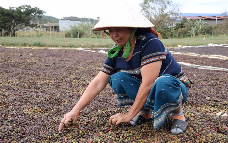 Phát huy vai trò là người uy tín, bà Ma K’Lá được bà con biết đến là người phụ nữ làm kinh tế giỏi