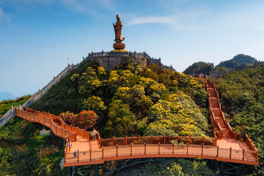 Con đường dạo ngắm hoa đỗ quyên cũng là nơi sở hữu nhiều cây đỗ quyên cổ thụ đẹp nhất Sa Pa và là nơi để du khách có thể chiêm ngưỡng và check-in với những bông hoa đỗ quyên ở cự ly gần nhất. Từ sân ngắm cảnh cuối con đường, du khách sẽ như lạc vào cõi thiên thai khi toàn cảnh hùng vĩ của núi rừng Tây Bắc điểm xuyến vẻ đẹp nên thơ của đỗ quyên được thu vào tầm mắt