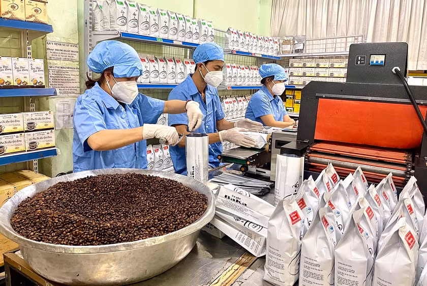 Doanh nghiệp nhỏ và vừa khởi nghiệp sáng tạo được vay vốn của Quỹ Phát triển doanh nghiệp nhỏ và vừa khi có dự án, phương án sản xuất, kinh doanh khả thi. Ảnh: Vũ Thảo
