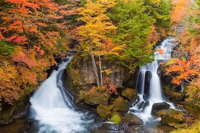 Ảnh: Pixabay