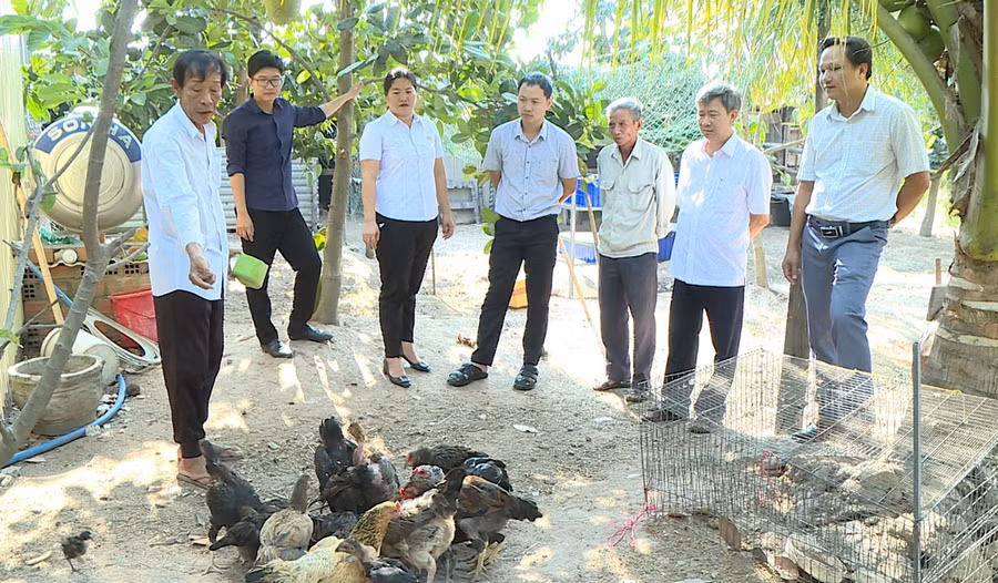 Lãnh đạo thị xã Ayun Pa tham quan mô hình phát triển kinh tế của gia đình ông Nguyễn Ngọc Nhân (tổ 2, phường Sông Bờ). Ảnh: T.D Lãnh đạo thị xã Ayun Pa tham quan mô hình phát triển kinh tế của gia đình ông Nguyễn Ngọc Nhân (tổ 2, phường Sông Bờ). Ảnh: T.D