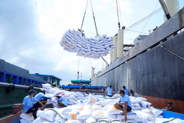 Gạo xuất khẩu sang Indonesia của Tập đoàn Lộc Trời - Ảnh LTG Gạo xuất khẩu sang Indonesia của Tập đoàn Lộc Trời - Ảnh LTG