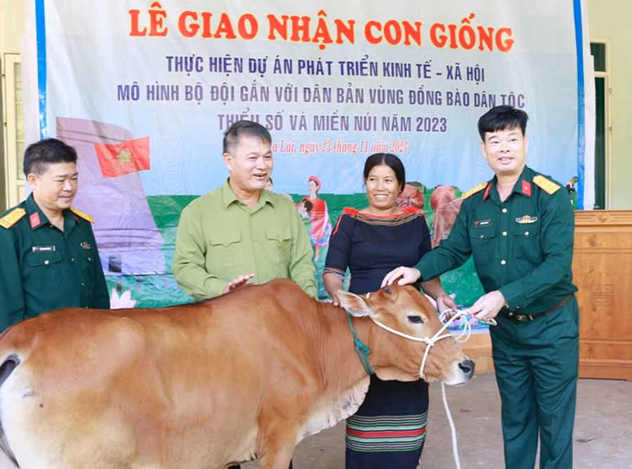 Trung đoàn Kinh tế- Quốc phòng 710 tặng bò cho người dân. Ảnh: Vĩnh Hoàng Trung đoàn Kinh tế- Quốc phòng 710 tặng bò cho người dân. Ảnh: Vĩnh Hoàng