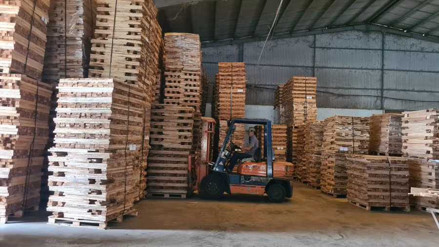 Gia Lai có tiềm năng lớn để xuất khẩu gỗ ra thị trường thế giới. Ảnh Thanh Tuấn