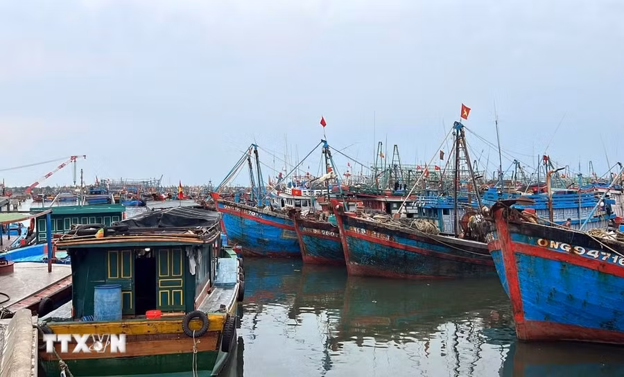 Tàu thuyền neo đậu tránh bão số 3 tại Khu neo đậu tránh trú bão cho tàu cá Cửa Gianh, huyện Bố Trạch, tỉnh Quảng Bình. (Ảnh: TTXVN phát)