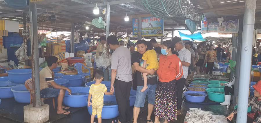 Nhiều khách du lịch đi mua hải sản tươi sống. Ảnh: TẤN ĐẠT