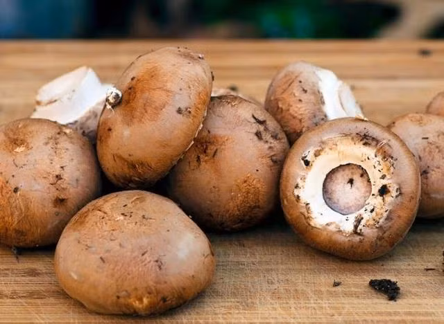 Nhờ khả năng chống oxy hóa, nấm cũng có thể bảo vệ các tế bào khỏe mạnh khỏi căng thẳng oxy hóa. Ảnh: SHUTTERSTOCK Nhờ khả năng chống oxy hóa, nấm cũng có thể bảo vệ các tế bào khỏe mạnh khỏi căng thẳng oxy hóa. Ảnh: SHUTTERSTOCK