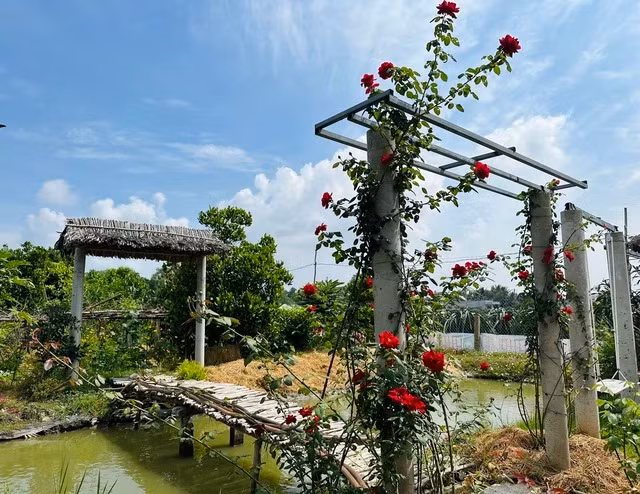 Khung cảnh thơ mộng trước nhà anh Duy. Ảnh: KIM NGỌC NGHIÊN