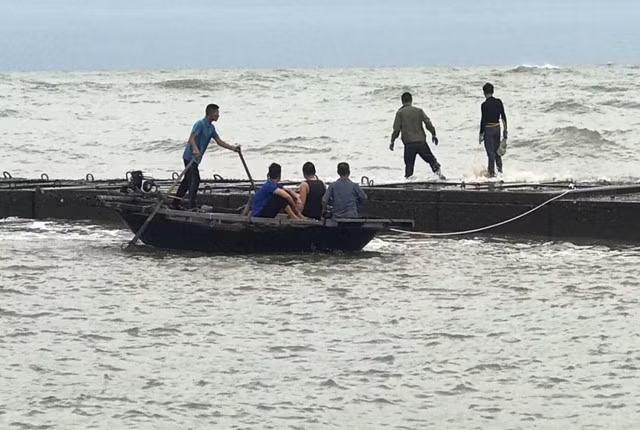 Hải Phòng: Tàu cá Quảng Ninh gặp nạn do đâm vào đê biển “ngầm” chắn sóng - Ảnh 1. Các thợ lặn và người nhà nạn nhân Nguyễn Văn Xá đã tiếp cận vị trí con tàu cá gặp nạn nằm sát đê biển ngầm chắn sóng tại Lạch Huyện, nhưng qua kiểm tra trong tàu không có người, tàu thì bị hư hỏng nặng. Ảnh: CTV