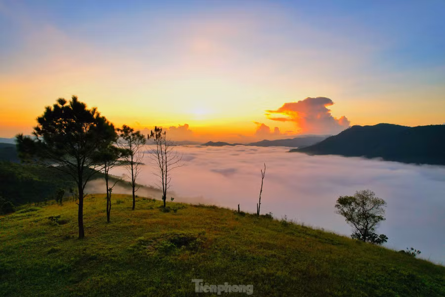 Đồi Phượng Hoàng hay còn được người dân gọi với cái tên núi Ba Tầng, nằm ở phường Bắc Sơn, TP. Uông Bí, Quảng Ninh.