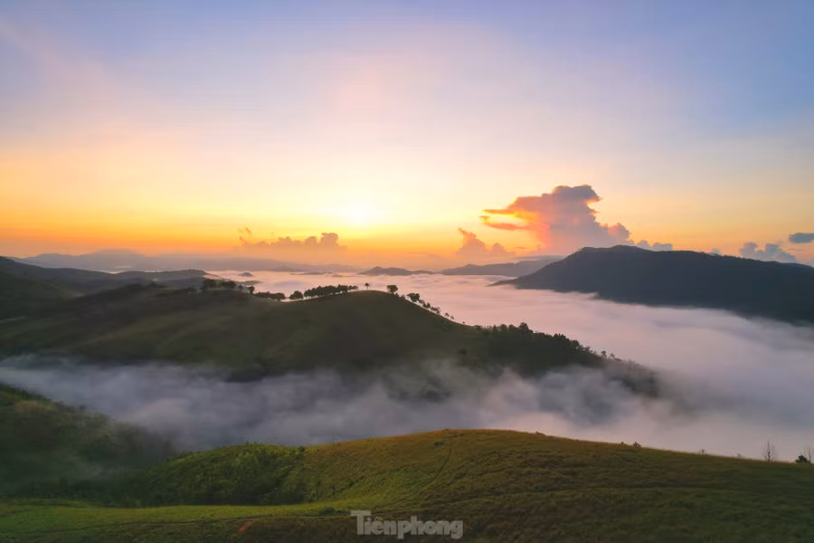 "Bấy lâu chỉ nghe bạn bè kể và xem hình ảnh qua mạng xã hội, nay gia đình tôi mới quyết định lên đây cắm trại qua đêm để săn mây. Không khí vừa trong lành, mát mẻ, cảnh sắc vô cùng tuyệt vời không khác gì những điểm du lịch nổi tiếng khác", chị Thu Giang, du khách đến từ Cẩm Phả chia sẻ.