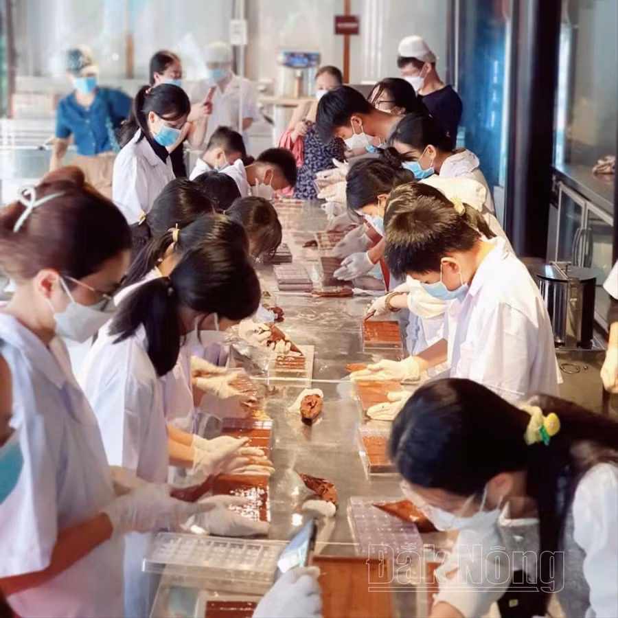 Trải nghiệm làm socola tại Công ty Cà phê Bazan Đắk Nông Trải nghiệm làm socola tại Công ty Cà phê Bazan Đắk Nông