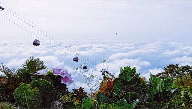 Biển mây nhìn từ đỉnh núi Bà Đen.