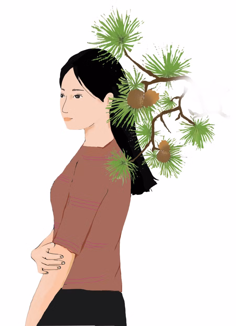 Minh họa: H.T