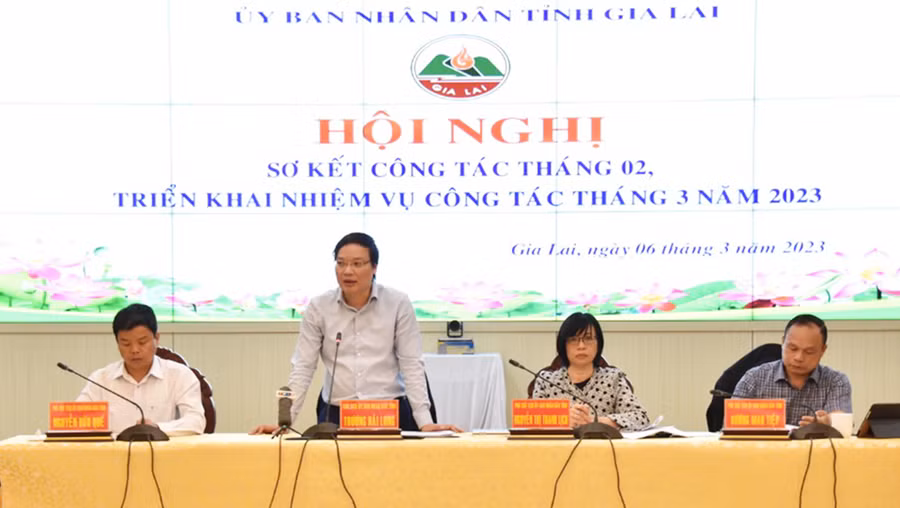 Chủ tịch UBND tỉnh Trương Hải Long phát biểu kết luận hội nghị. Ảnh: Đức Thụy